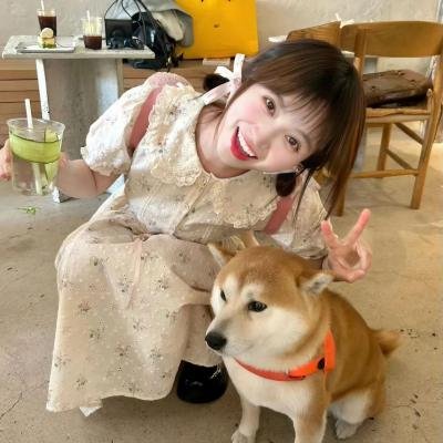 客人变成猪